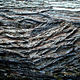 Image for article titled Wood Shooting Challenge